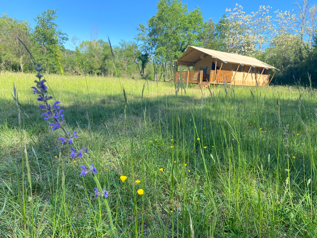 orderedImageAlt_accommodation_default