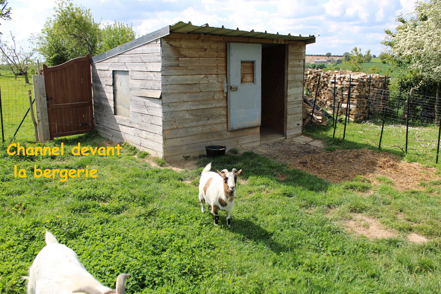GreenGo location vacances écoresponsables