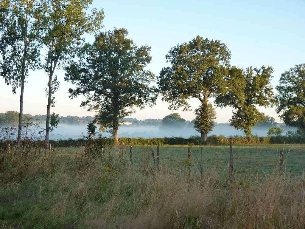 GreenGo Sous les chênes