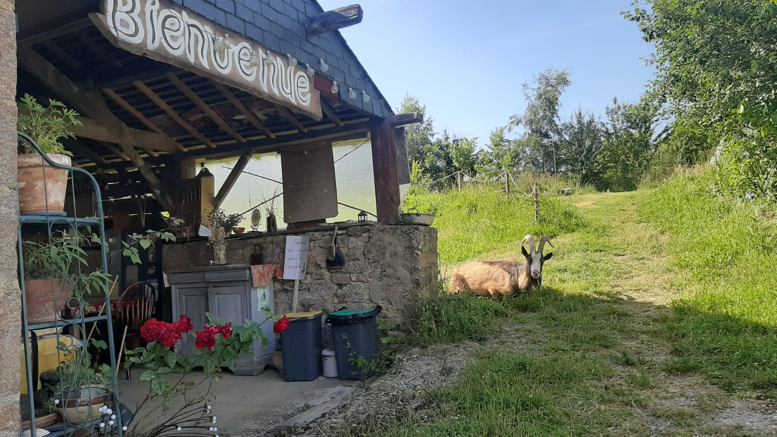orderedImageAlt_accommodation_default