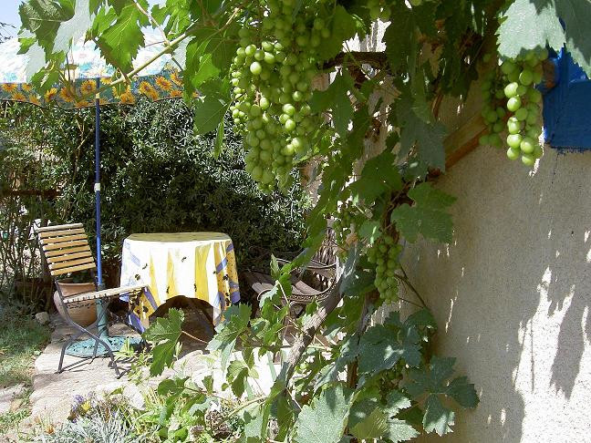 GreenGo location vacances écoresponsables
