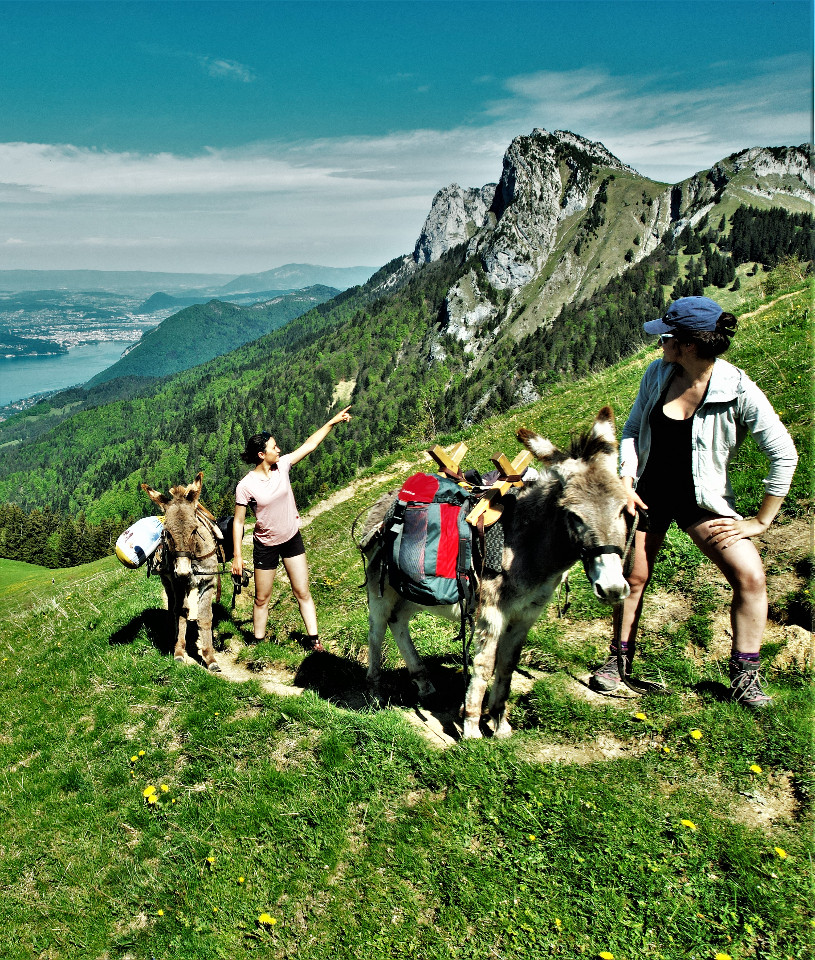GreenGo location vacances écoresponsables
