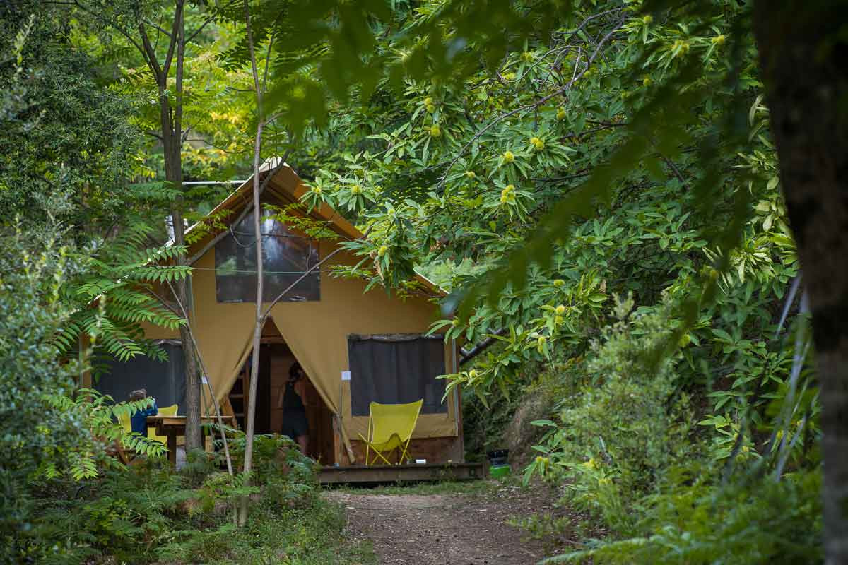 orderedImageAlt_accommodation_default