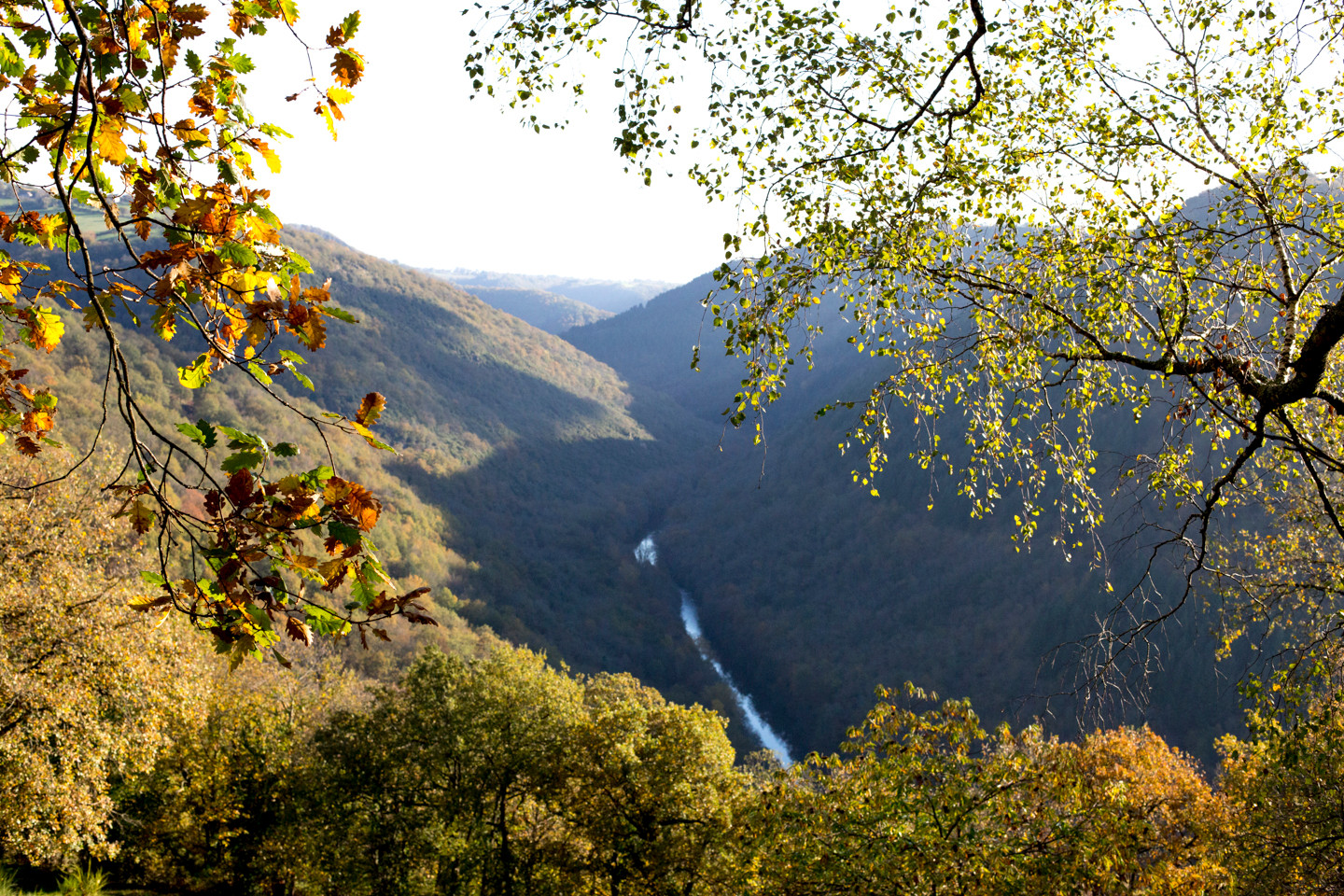 Location Aveyron En forêt