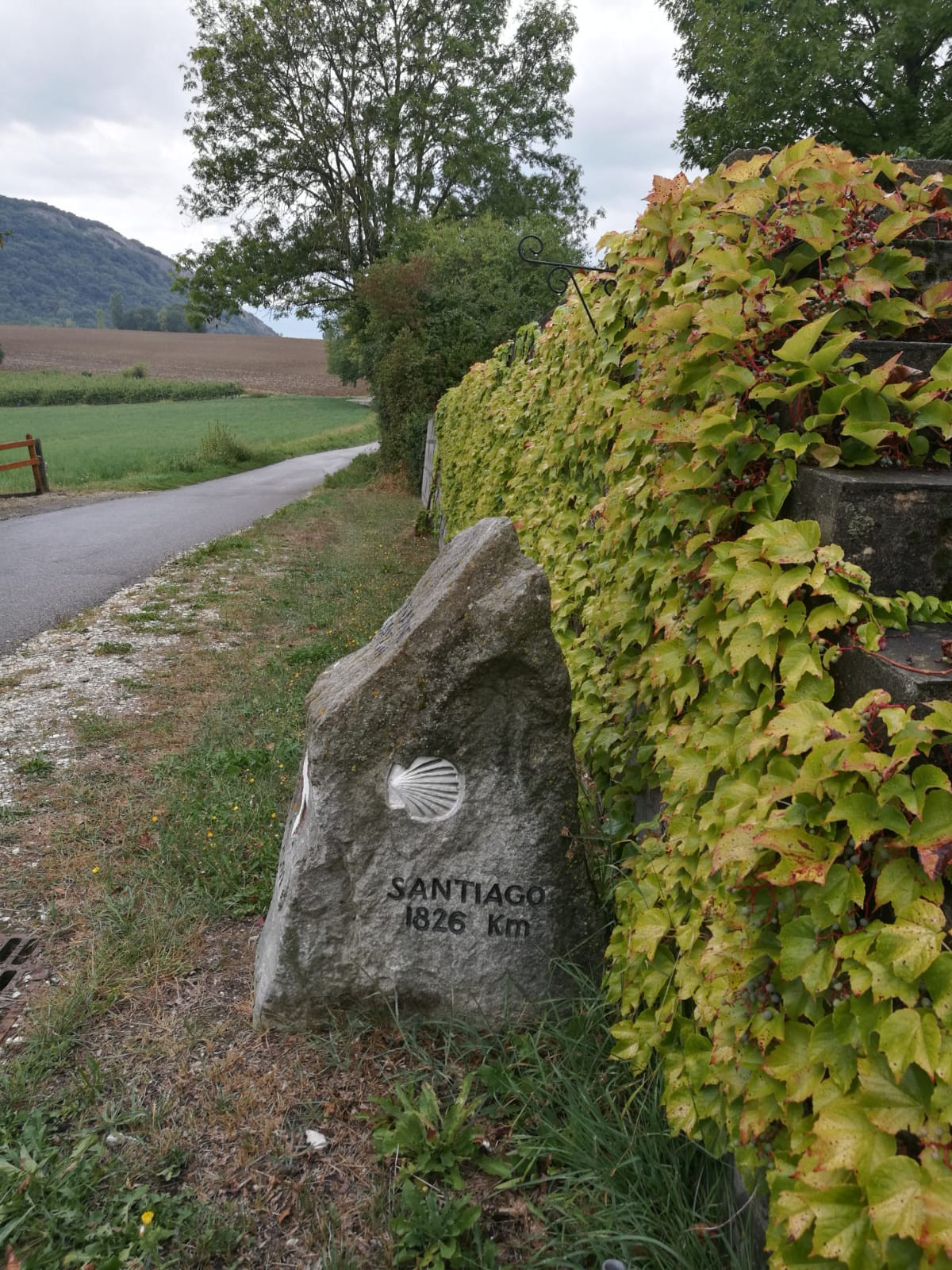 Haute-Savoie En forêt