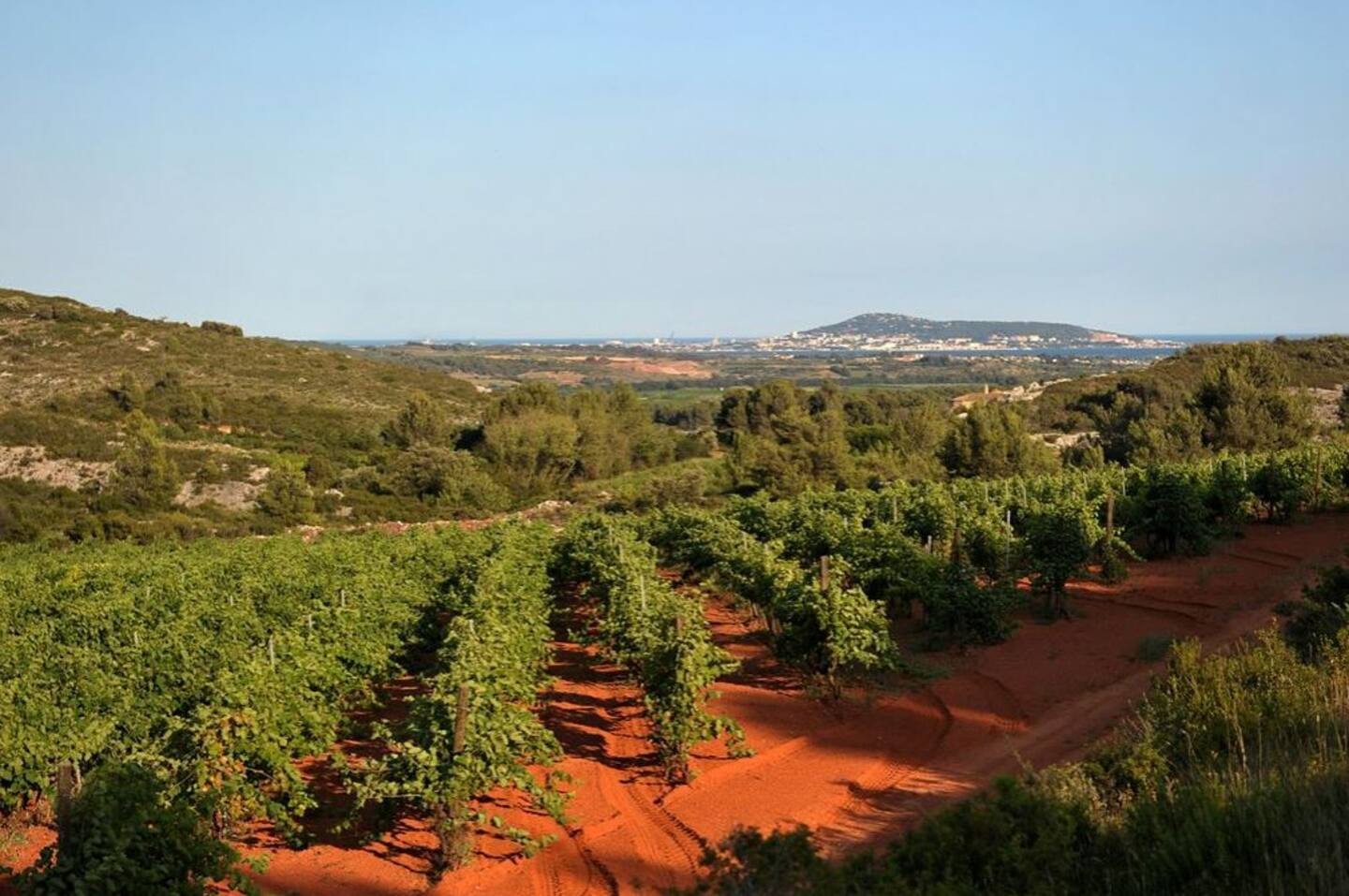 GreenGo location vacances écoresponsables