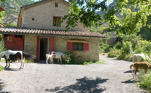 orderedImageAlt_accommodation_default