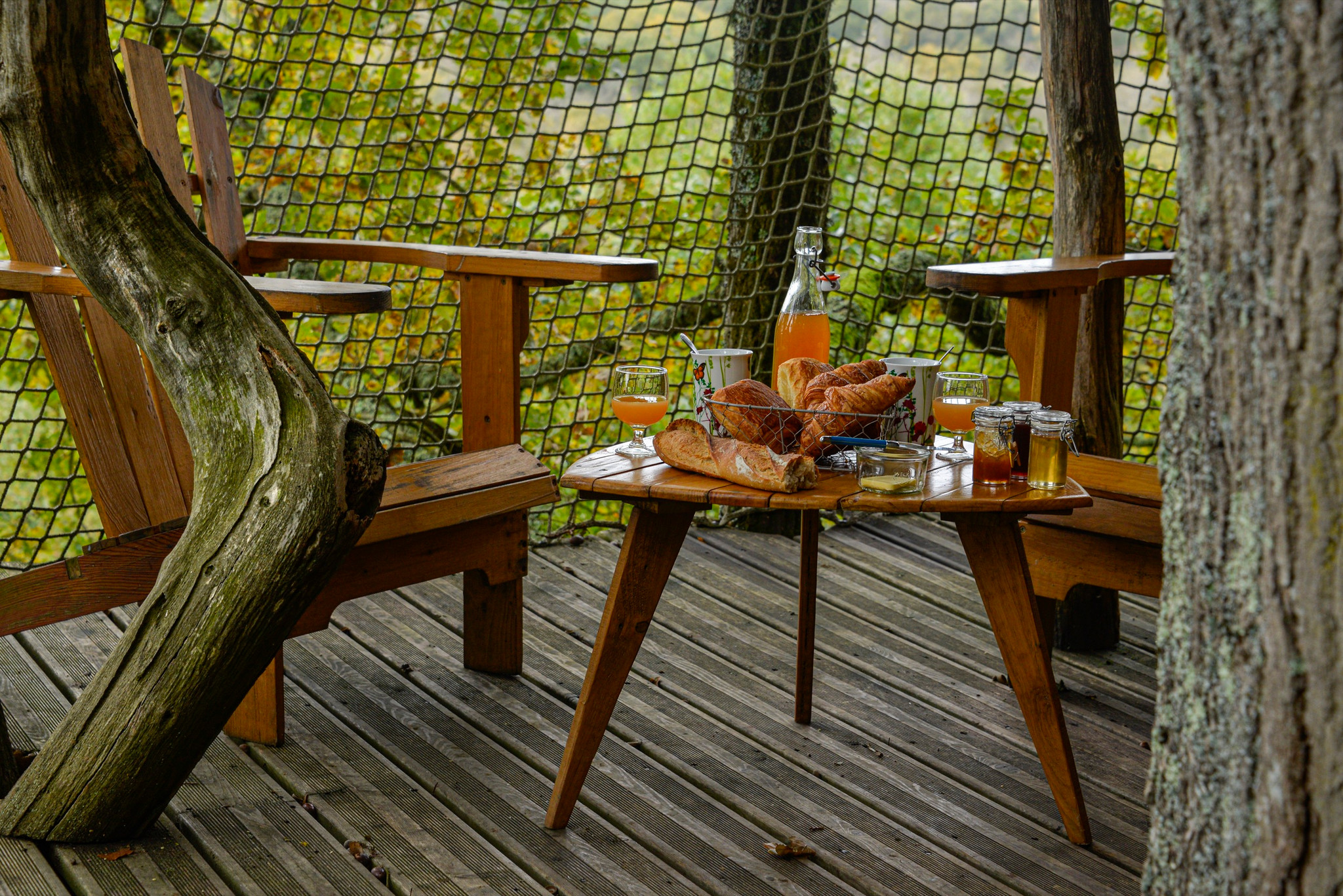 GreenGo location vacances écoresponsables