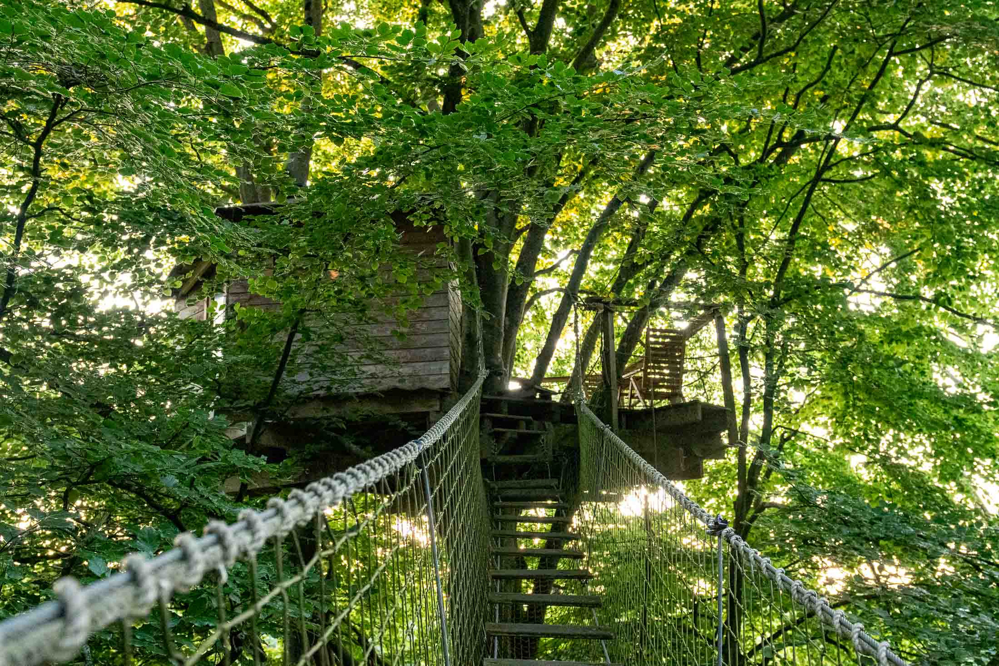 Logement GreenGo: Epervier