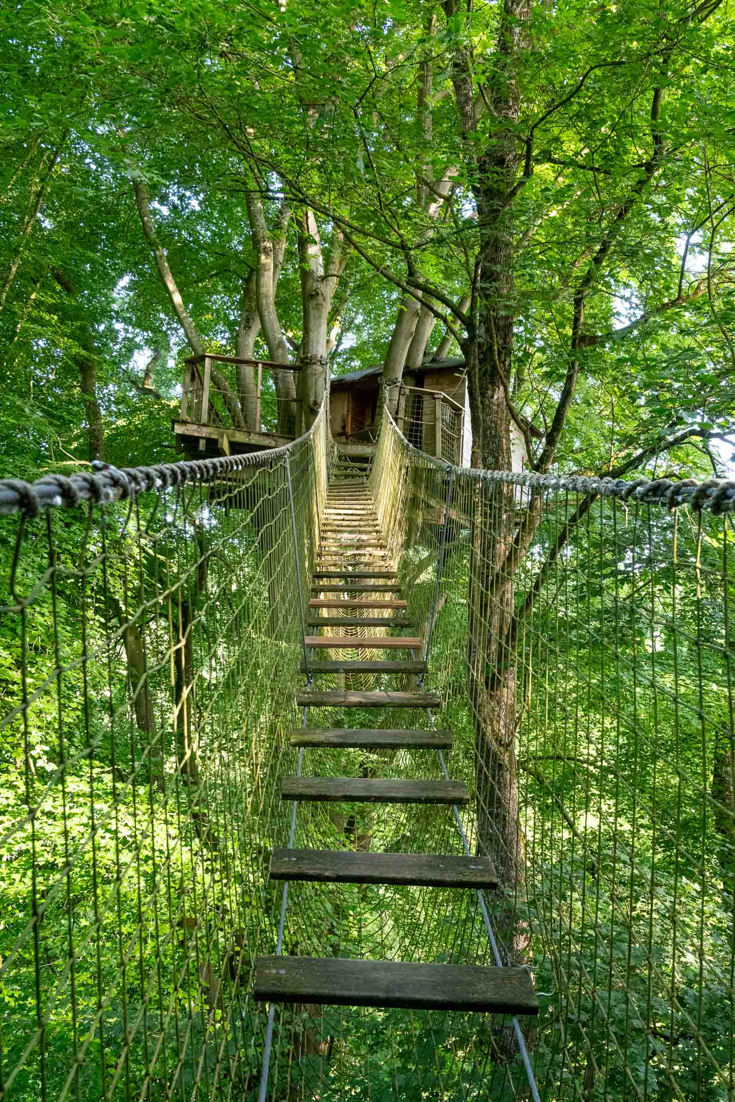 Logement GreenGo: Mésange