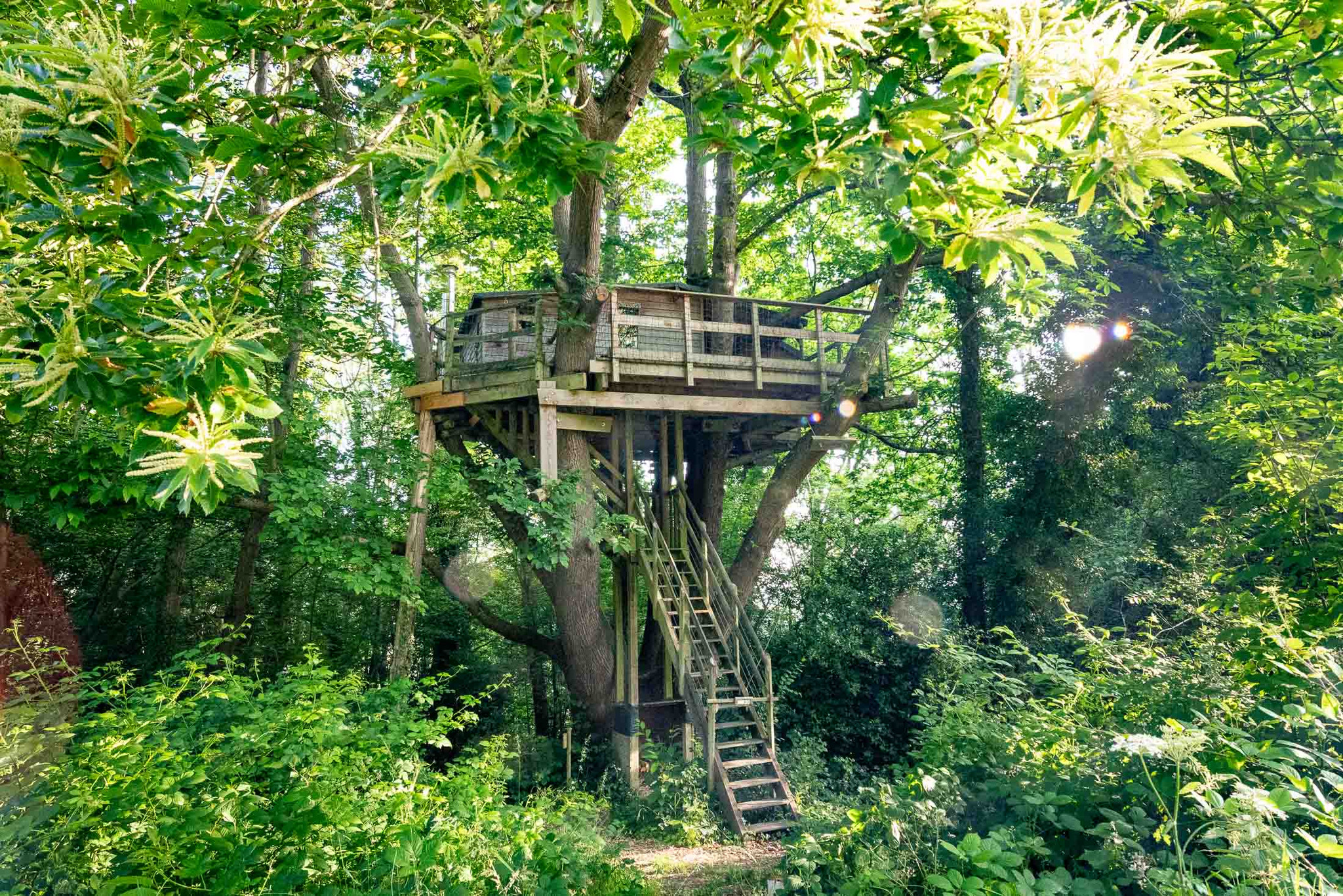 Logement GreenGo: Pivert