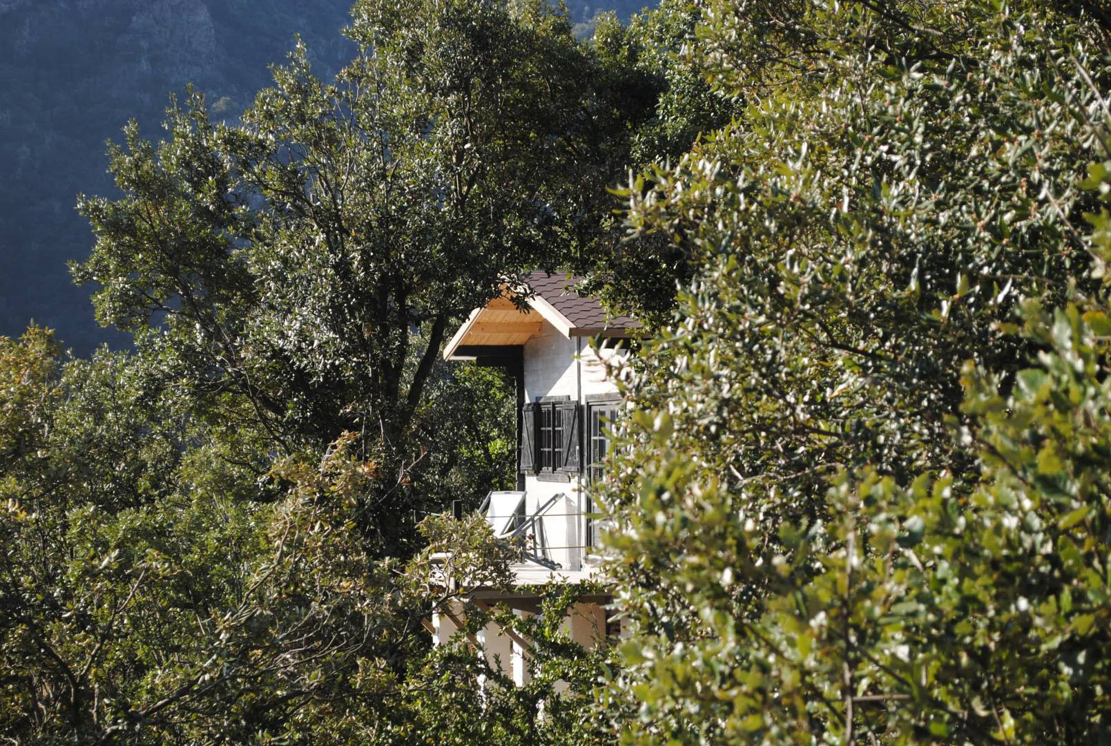 Hôte GreenGo: Sorène - une Cabane en Cévennes