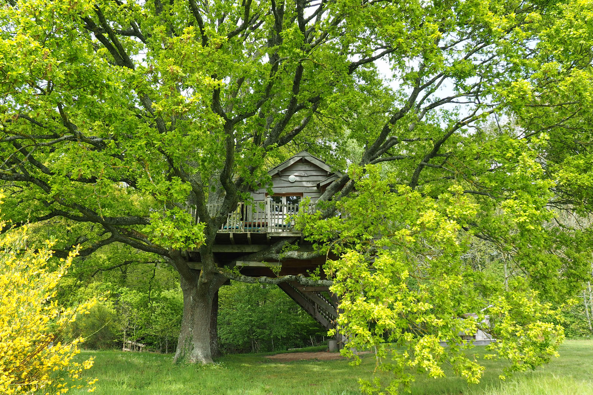 orderedImageAlt_accommodation_default