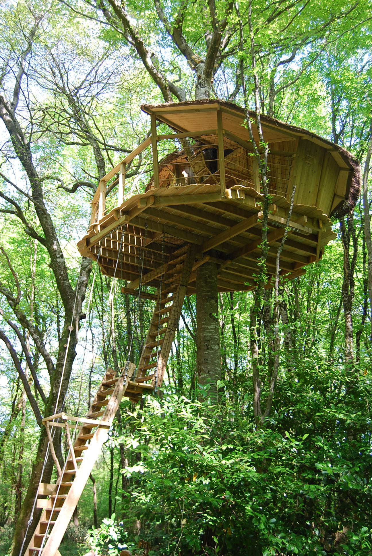 orderedImageAlt_accommodation_default