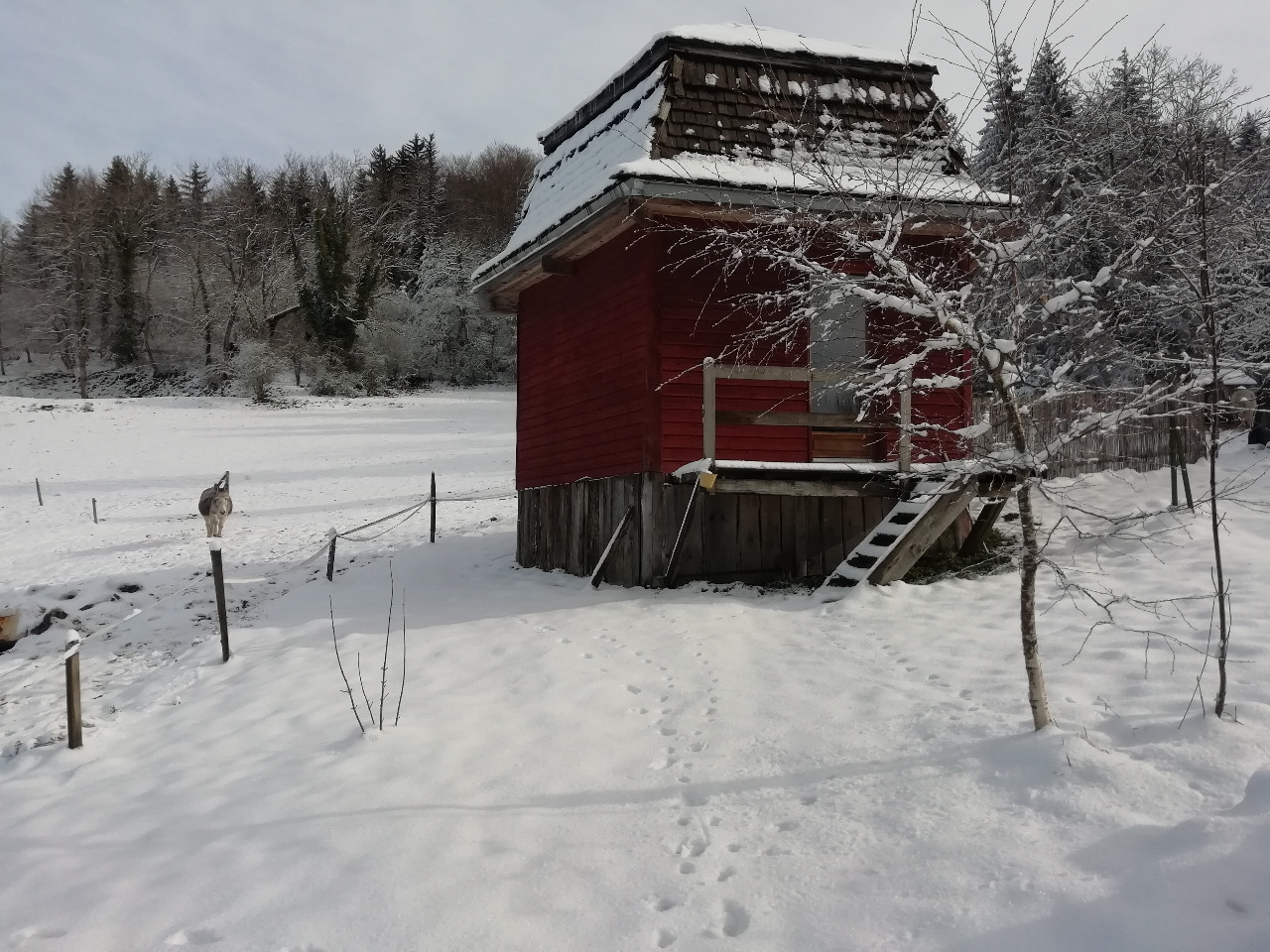 GreenGo Logement insolite Auvergne-Rhône-Alpes Évasion