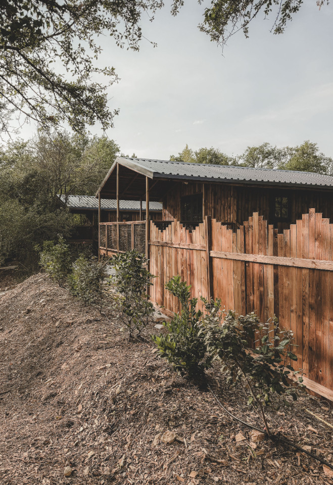 orderedImageAlt_accommodation_default