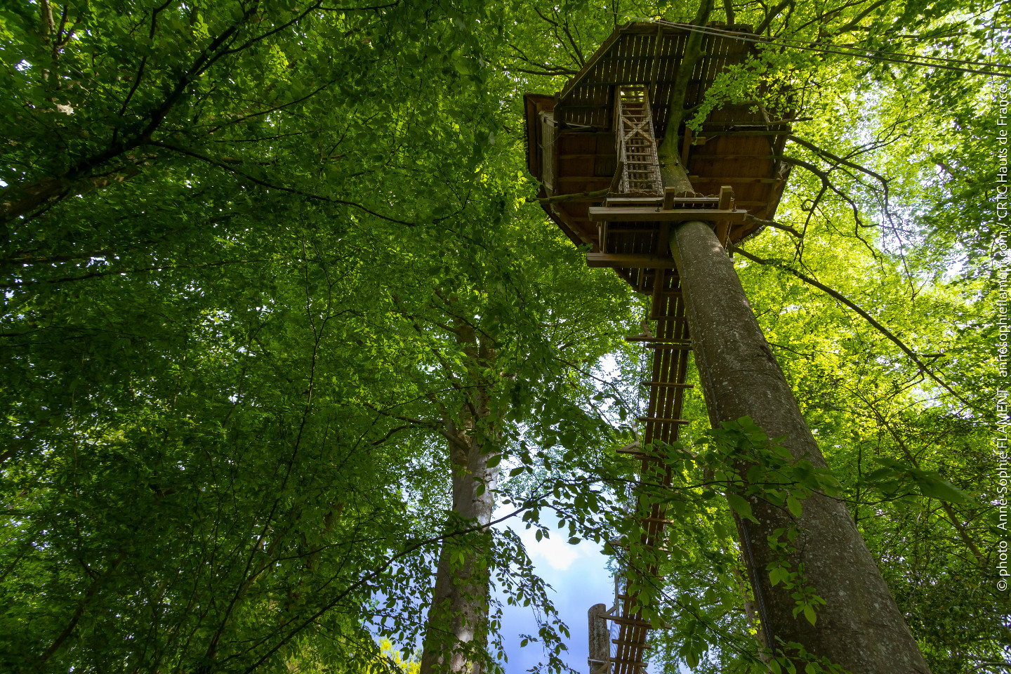 orderedImageAlt_accommodation_default