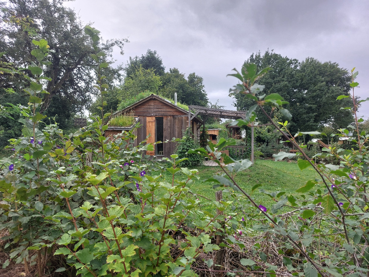 orderedImageAlt_accommodation_default