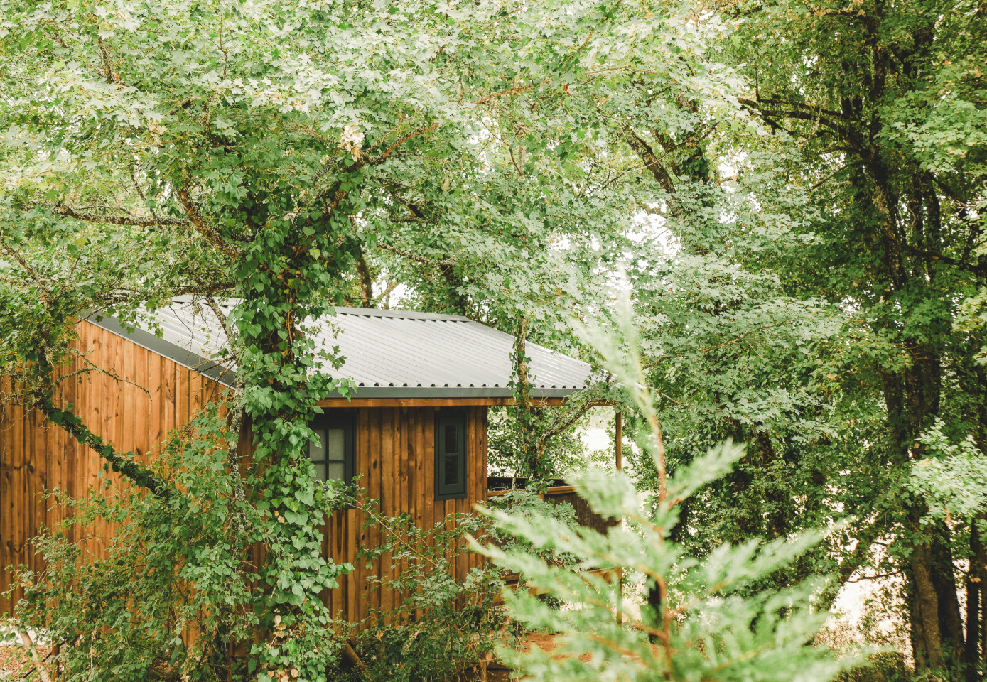 Logement GreenGo: Cabane Auròra