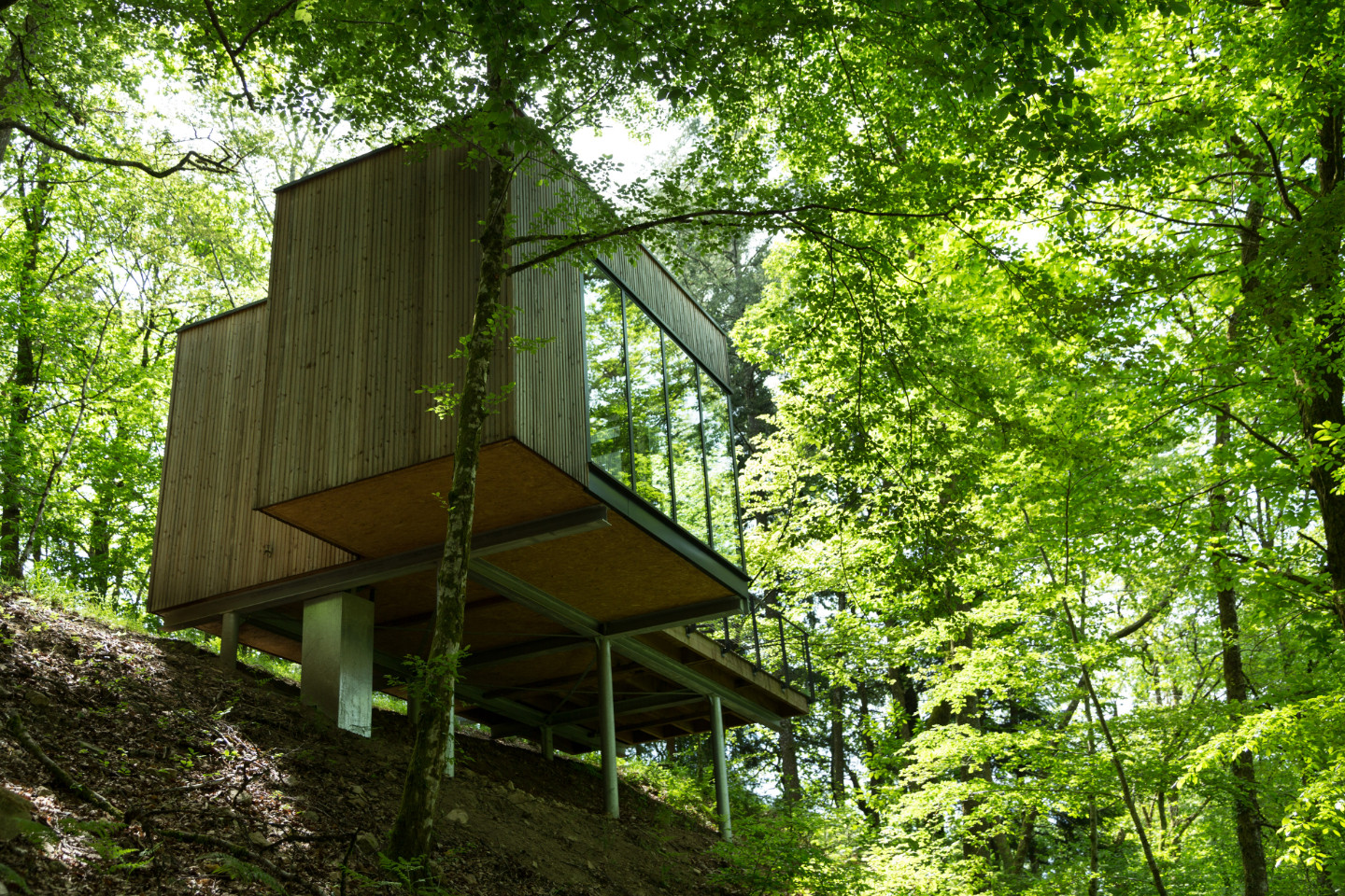 orderedImageAlt_accommodation_default