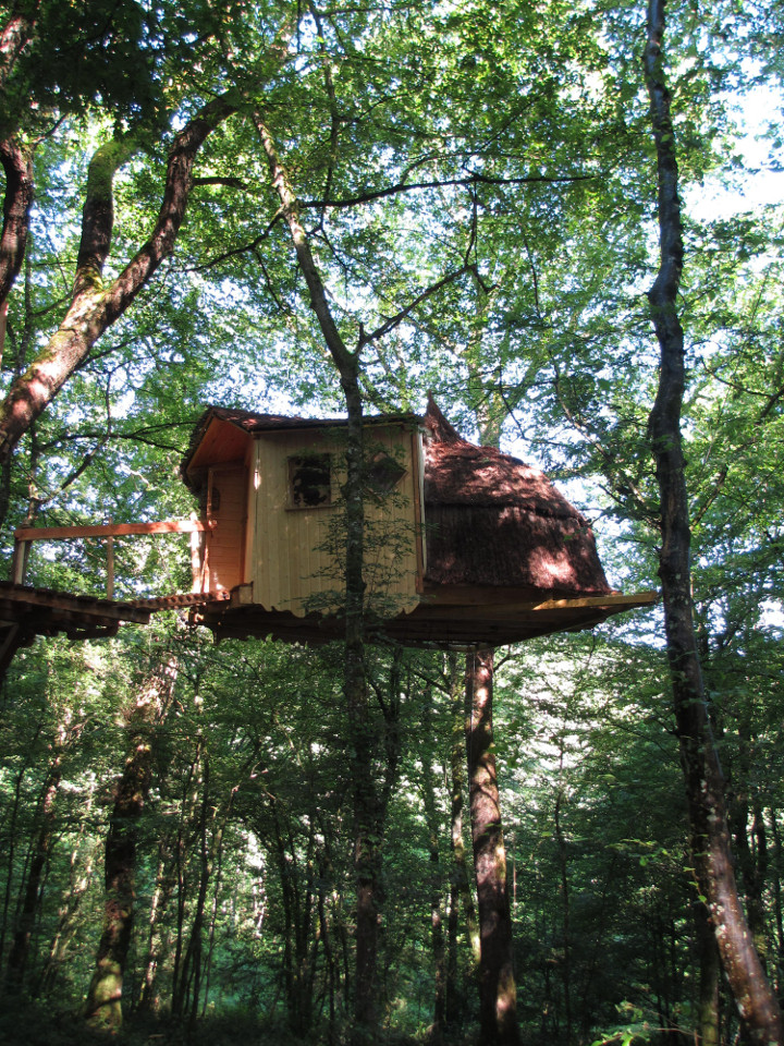 orderedImageAlt_accommodation_default