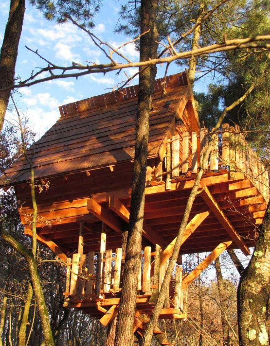 orderedImageAlt_accommodation_default