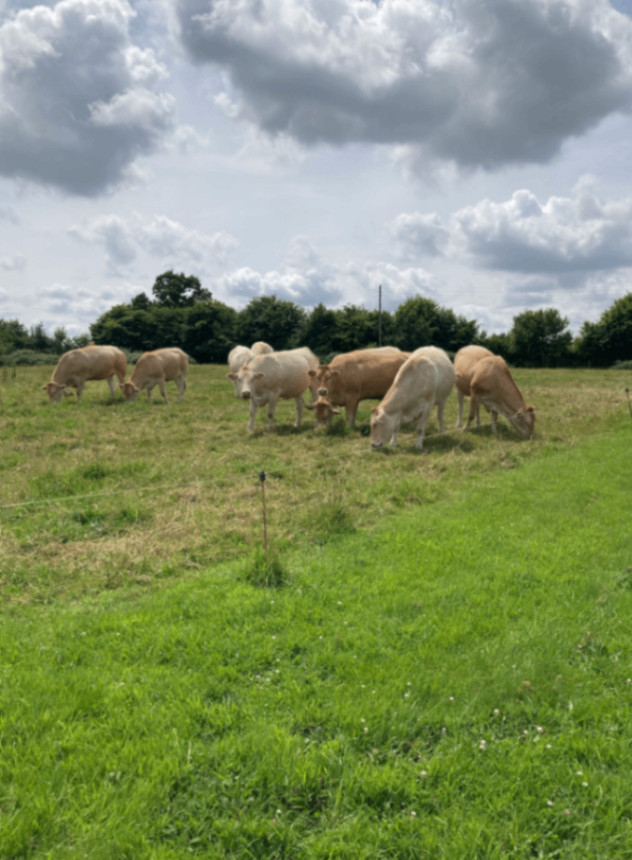 GreenGo Location Normandie Évasion