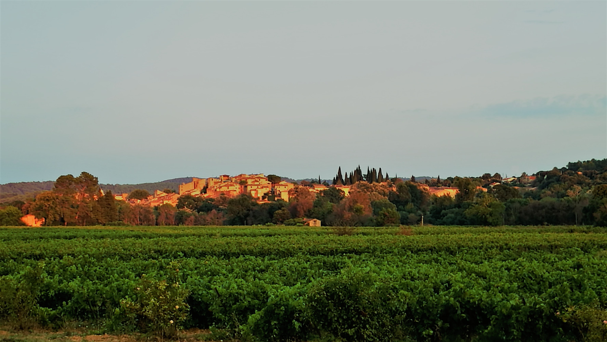 GreenGo Le Figuier gite de charme face au vignoble 40' des gorges du verdon et des plages-Piscine