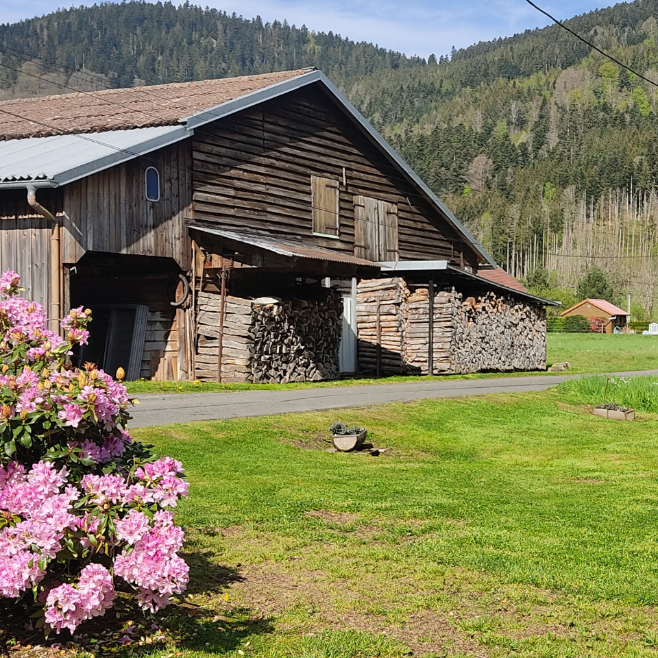 Vosges À la campagne