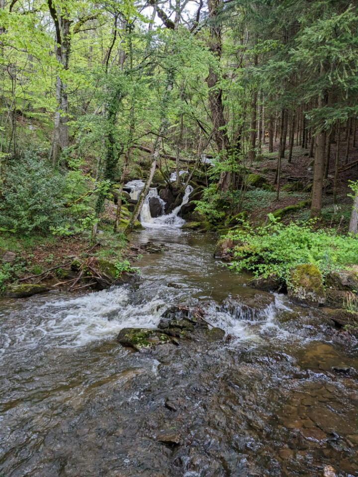 GreenGo location vacances écoresponsables