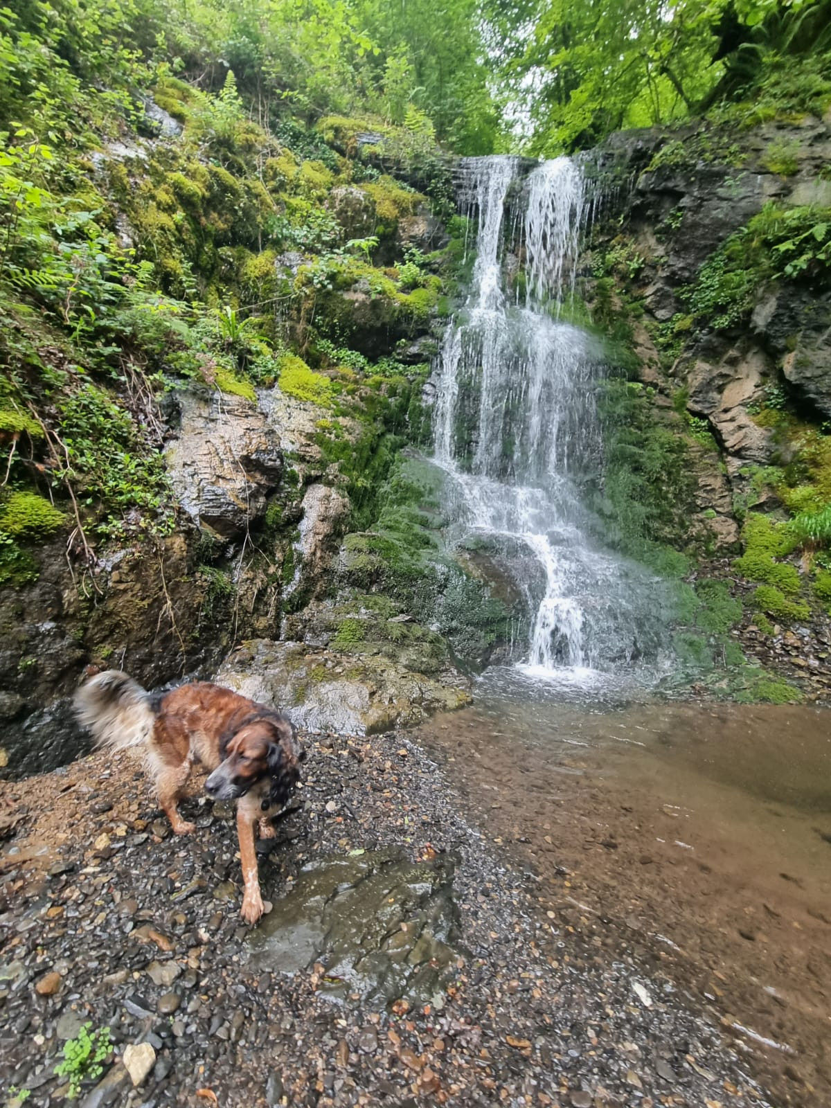 GreenGo Chambre d’hôtes Nouvelle-Aquitaine Évasion