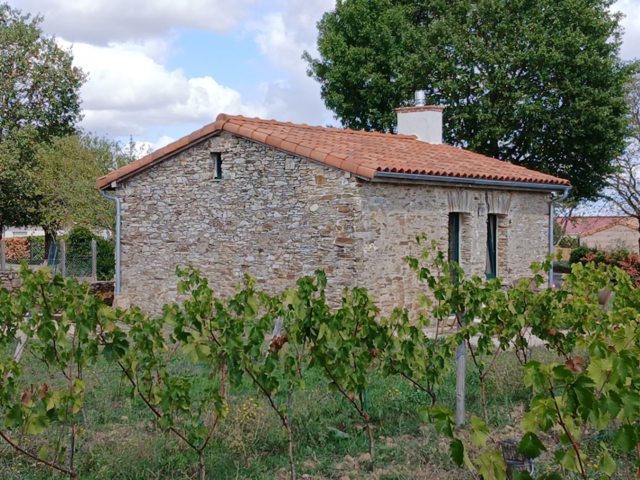 GreenGo Maisonnette pieds dans les vignes