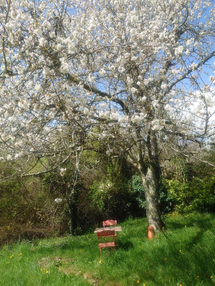  Dordogne Entre amis