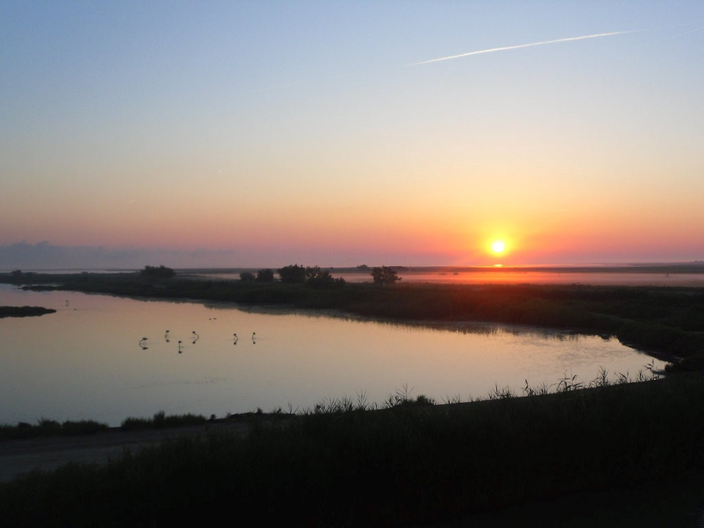 Hôte GreenGo: Chambre d'hôtes les Flamants, vue imprenable sur les étangs, les flamants (petit déjeuner compris)
