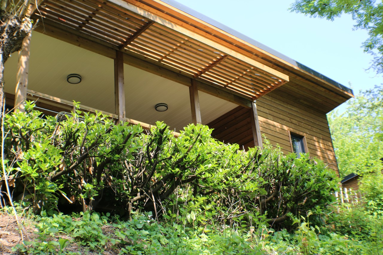 Logement GreenGo: Chalet Bois