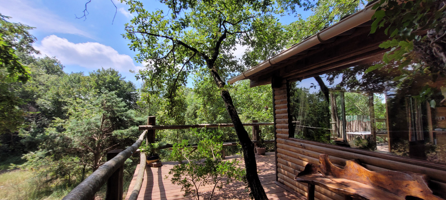 Hôte GreenGo: Cabane Fetia