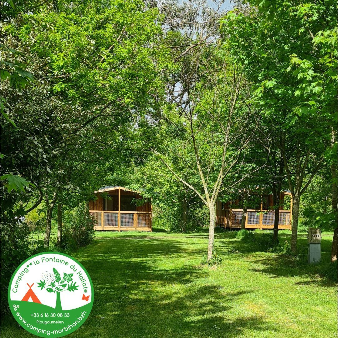 orderedImageAlt_accommodation_default