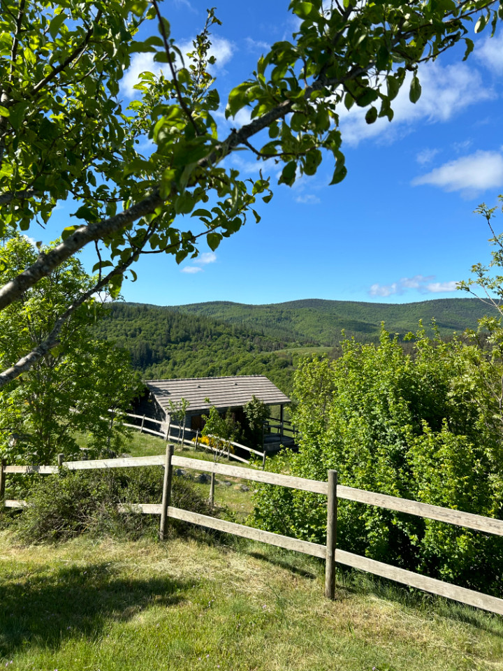 orderedImageAlt_accommodation_default
