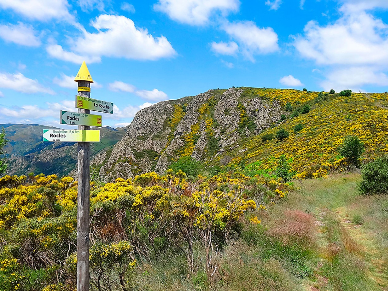 GreenGo Location Auvergne-Rhône-Alpes Évasion