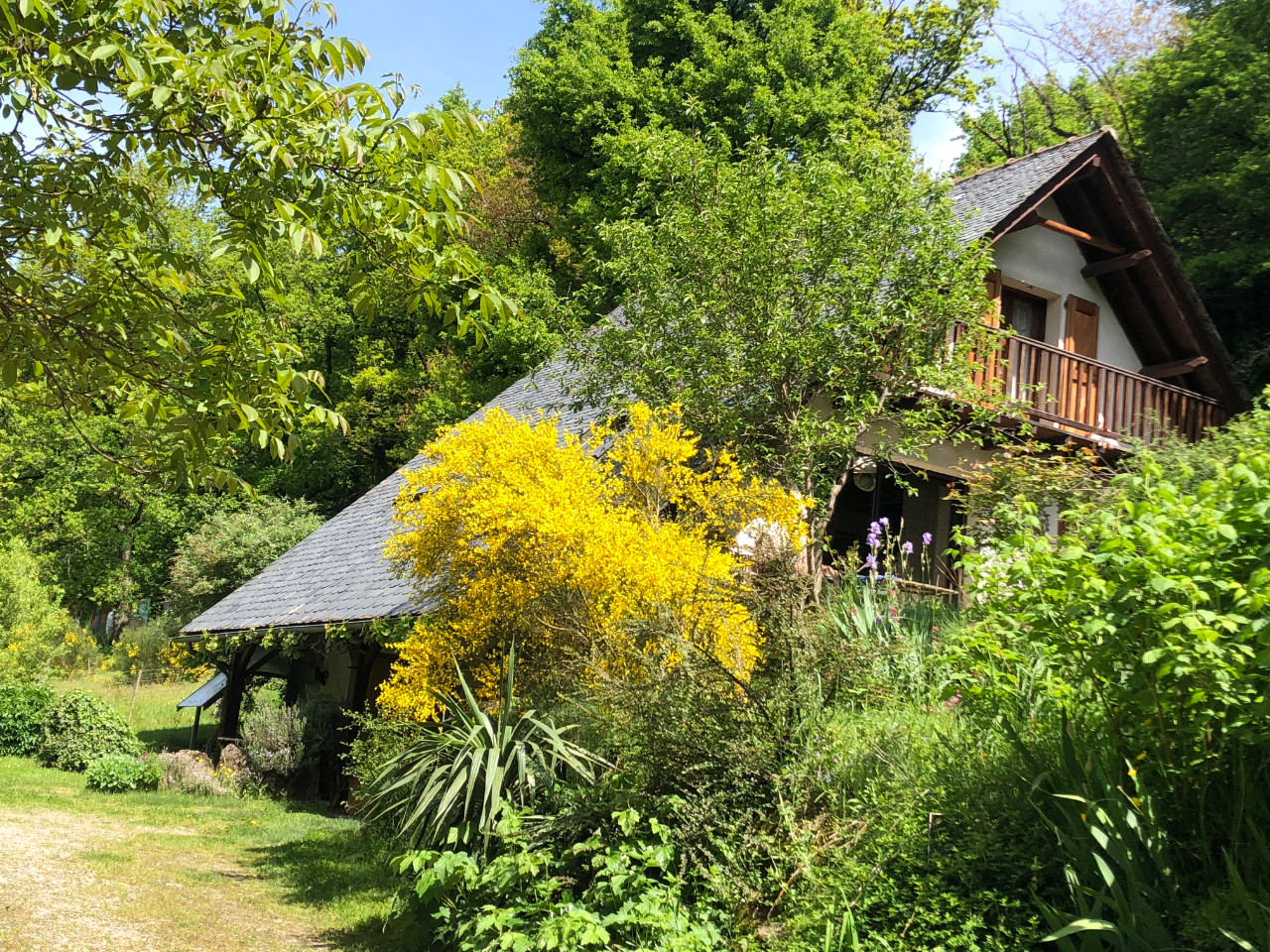 orderedImageAlt_accommodation_default