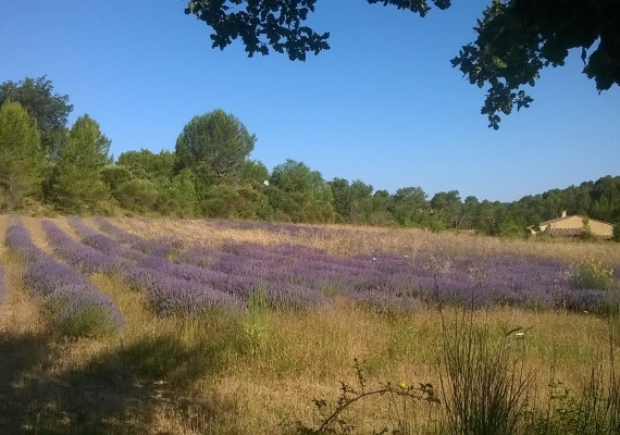 Location Var À la campagne