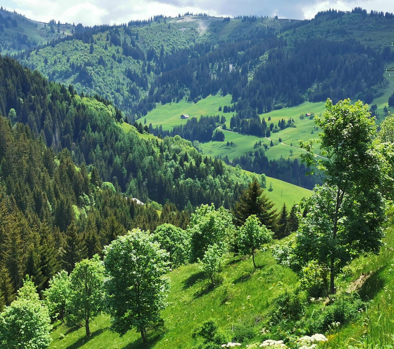 GreenGo Chalet d'alpage du Drayon