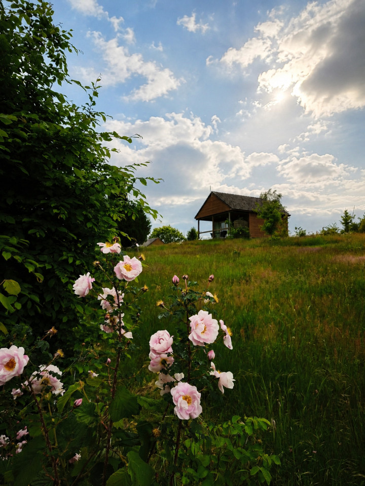 orderedImageAlt_accommodation_default