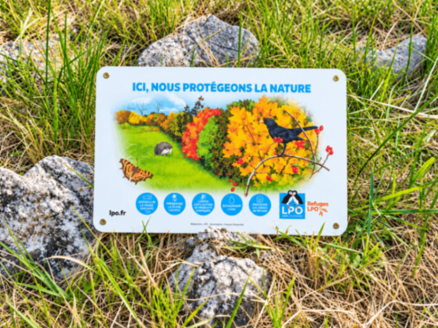 Hôte GreenGo: L'Ostal d'Aucèls