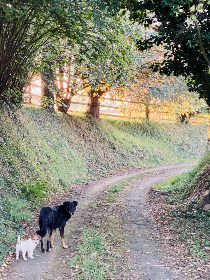 Location Ille-et-Vilaine Bien-être