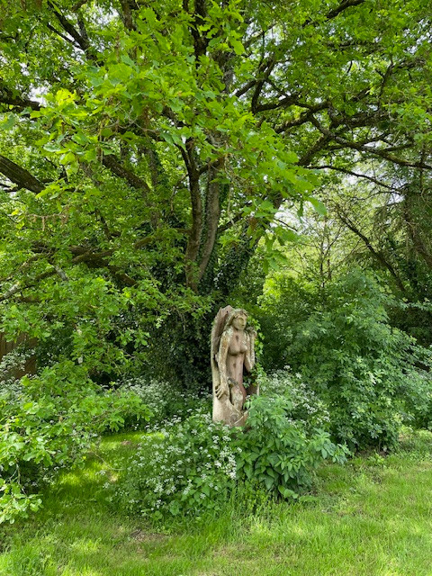 GreenGo location vacances écoresponsables
