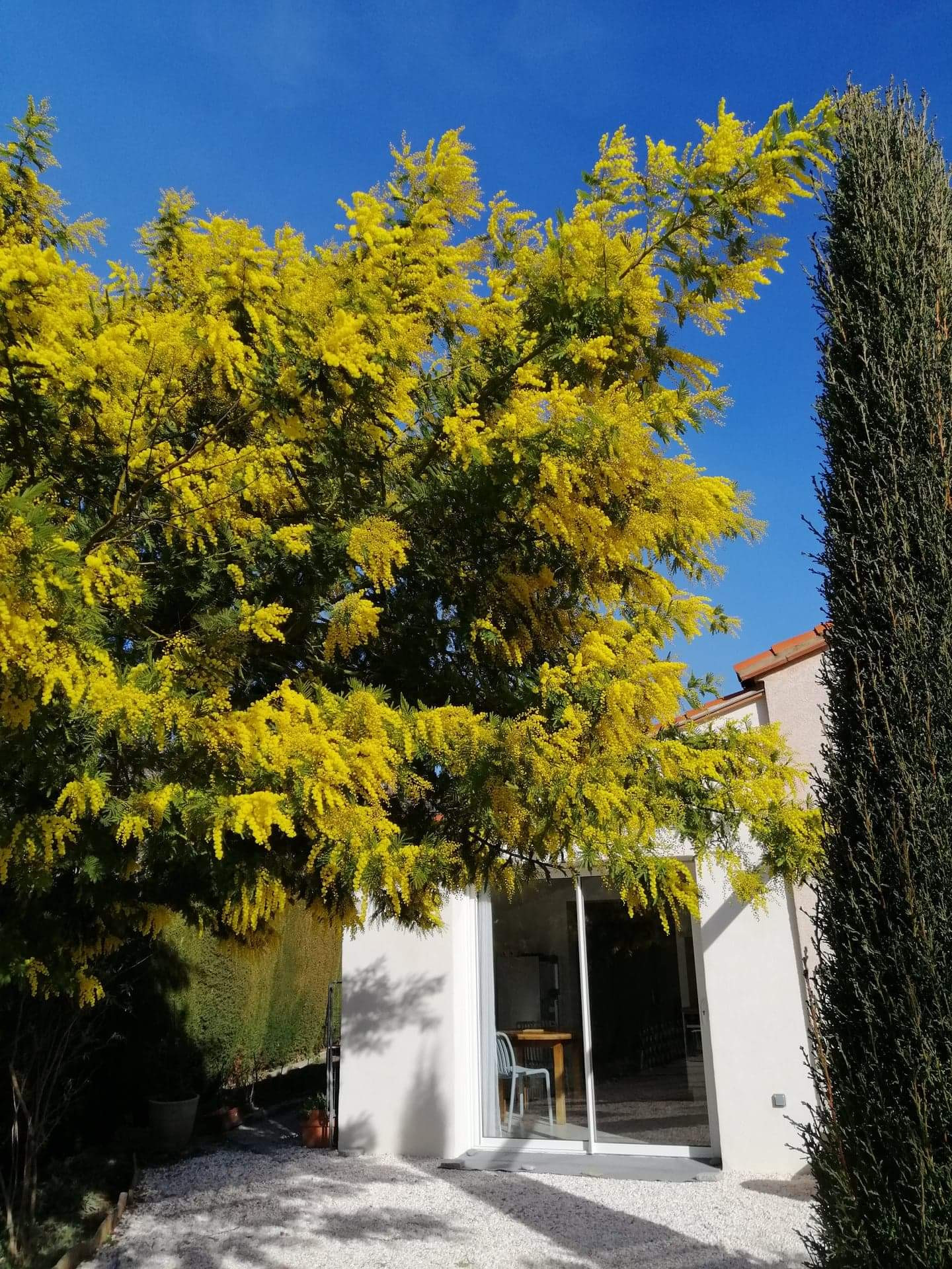 Logement GreenGo: Gîte Chèvrefeuille