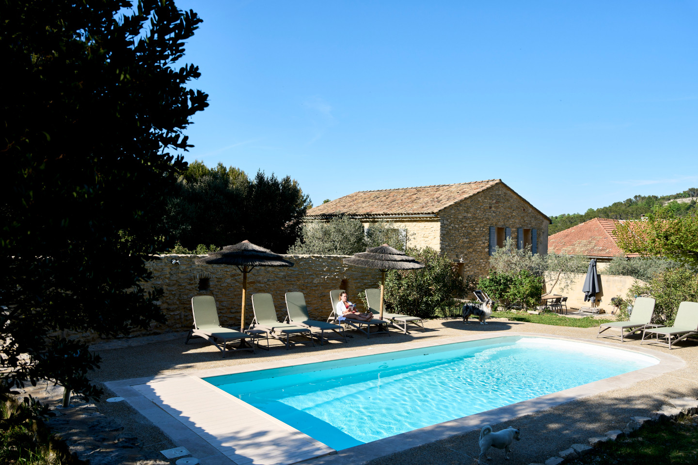 Logement GreenGo: Villa les Rosiers