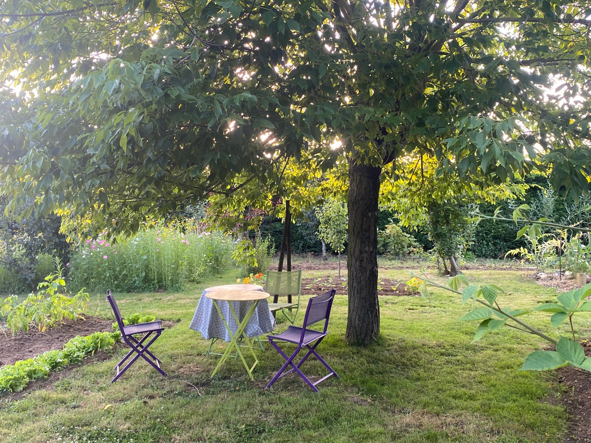 GreenGo Suite Familiale Namaste
