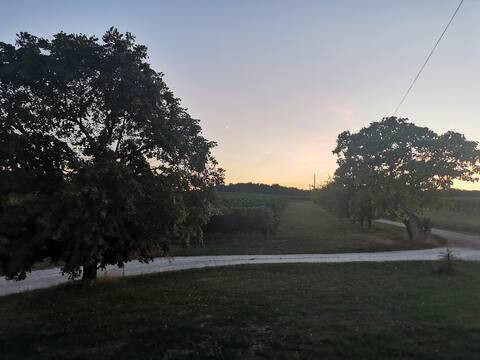GreenGo Domaine Madailin